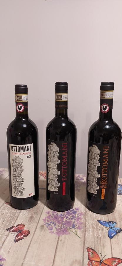 Appartamento Sezzate 40 Strada in Chianti Екстериор снимка